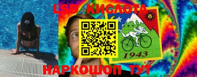 прущие грибы Тулун