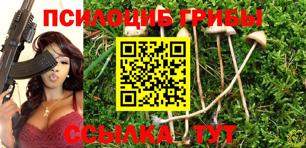 Можга  где купить наркотик  Вход с VPN  Галлюциногенные грибы MAGIC MUSHROOMS  Псилоцибиновые грибы мухоморы 