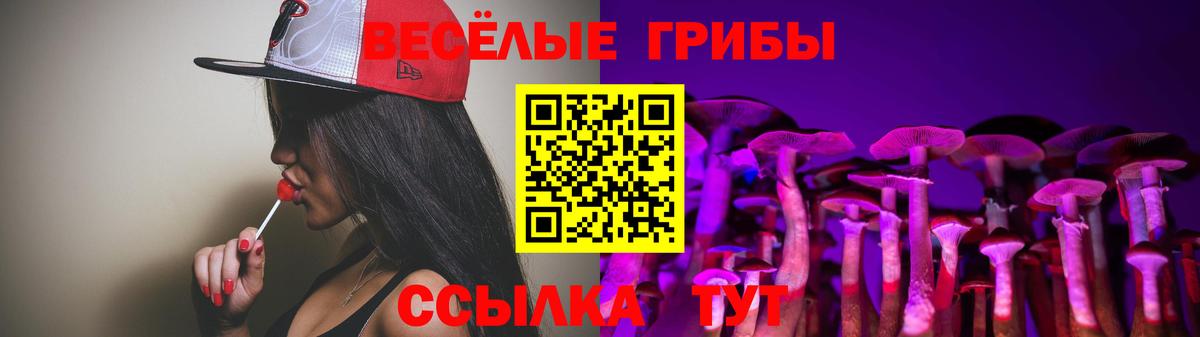 Галлюциногенные грибы ЛСД Можга